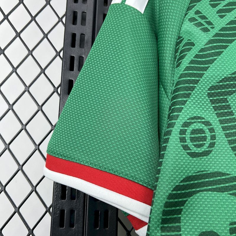 Mexico Home Kit 2026