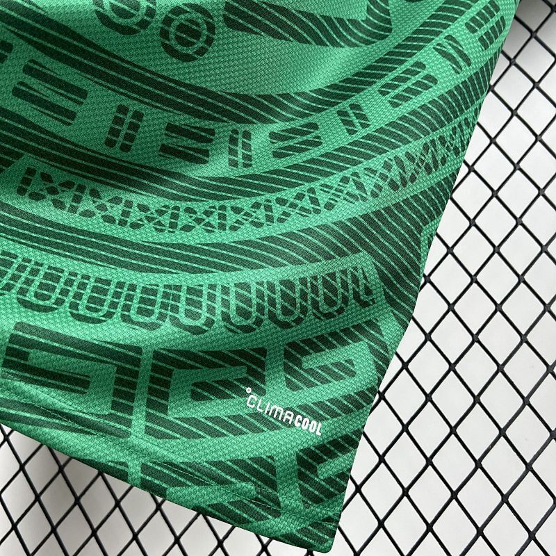 Mexico Home Kit 2026