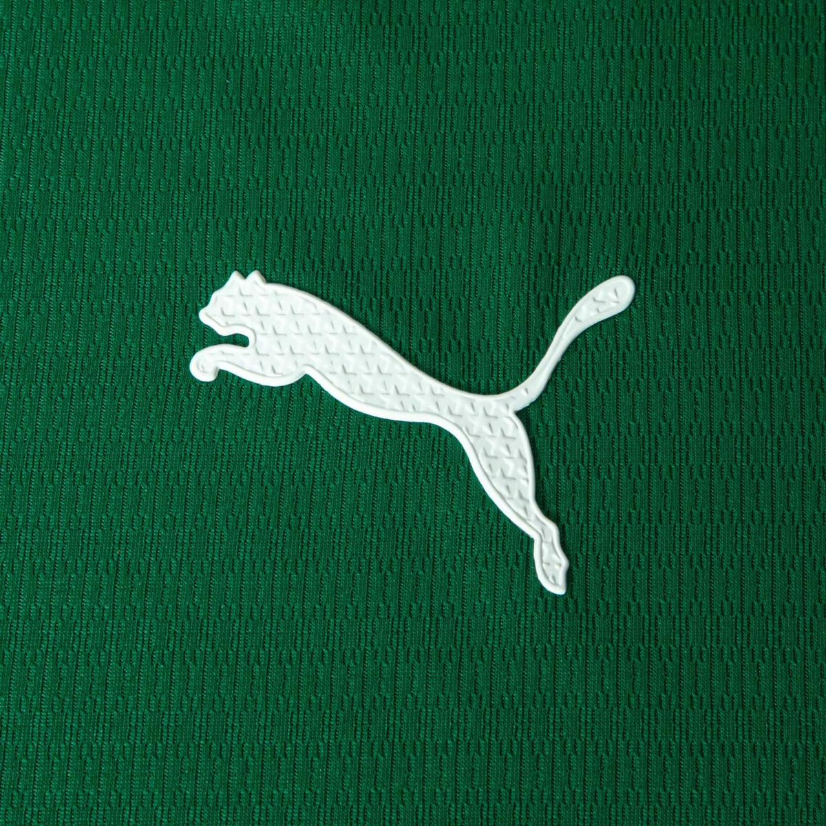 SE Palmeiras 2026-27 | Camisola Principal